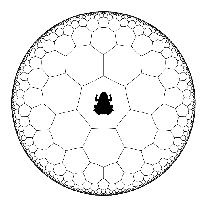 0979_heptagons_frog.png